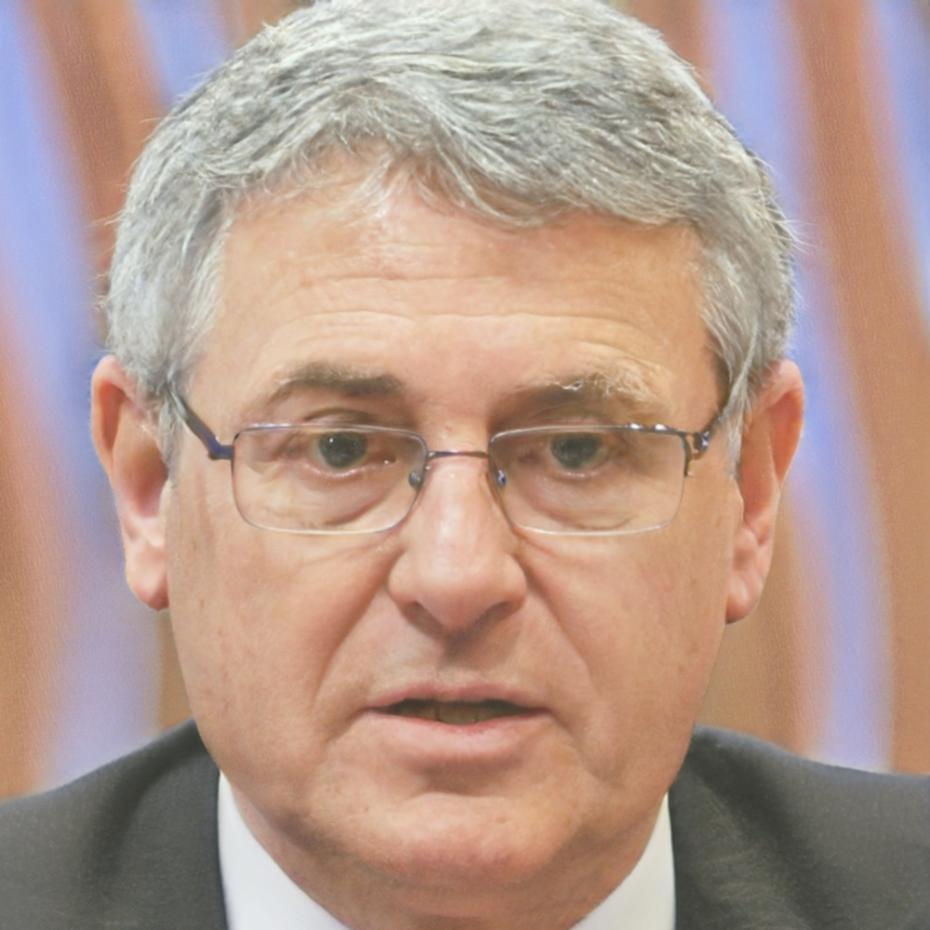 Director académico del programa de formación bancaria